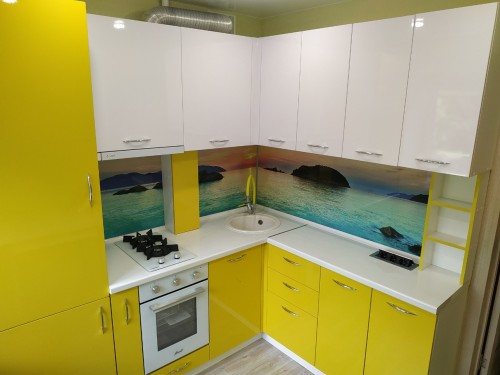 купить кухню Экошкаф